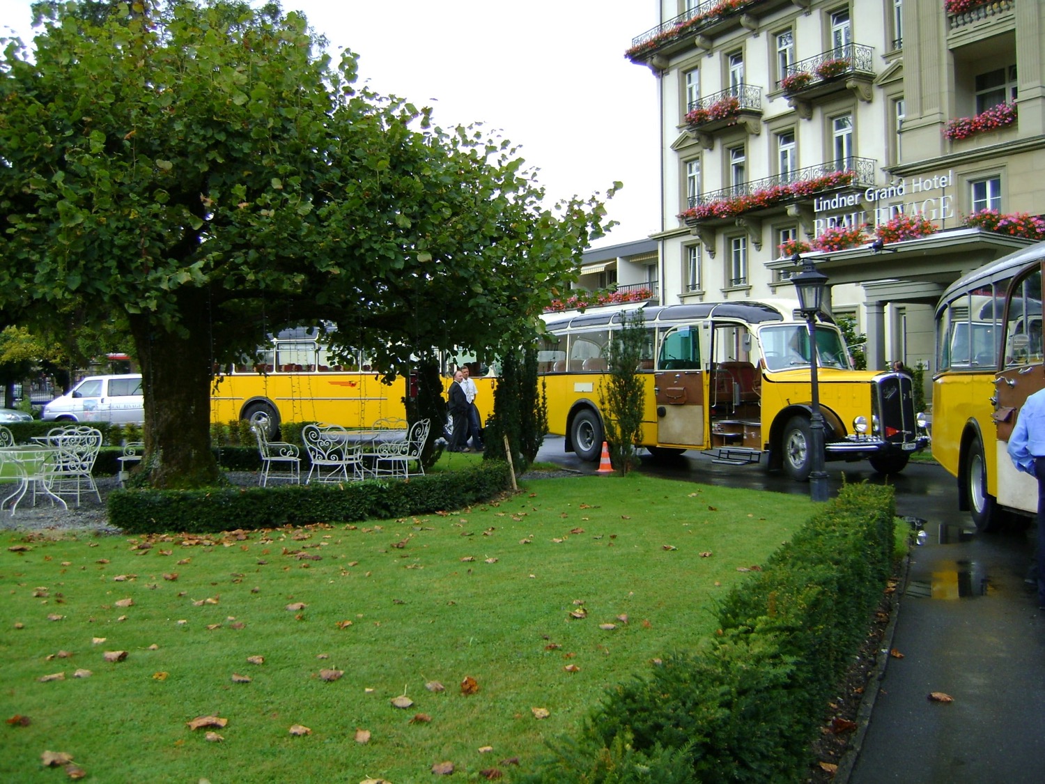Vintage yellow buses used for a Q Events group transfer